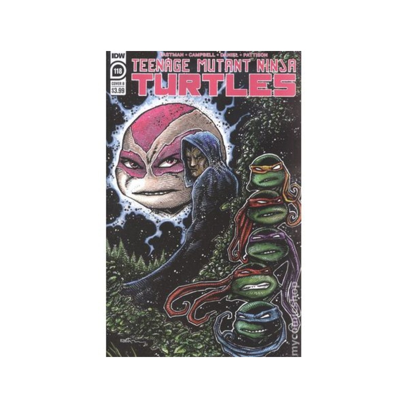 IDW - TMNT Ongoing 118 Cover B (Cond. VF-) - 12471