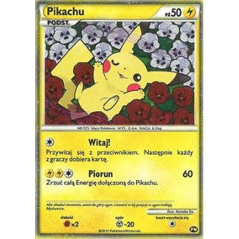Pikachu (PW8) (Polish) [Pikachu World Collection Promos]