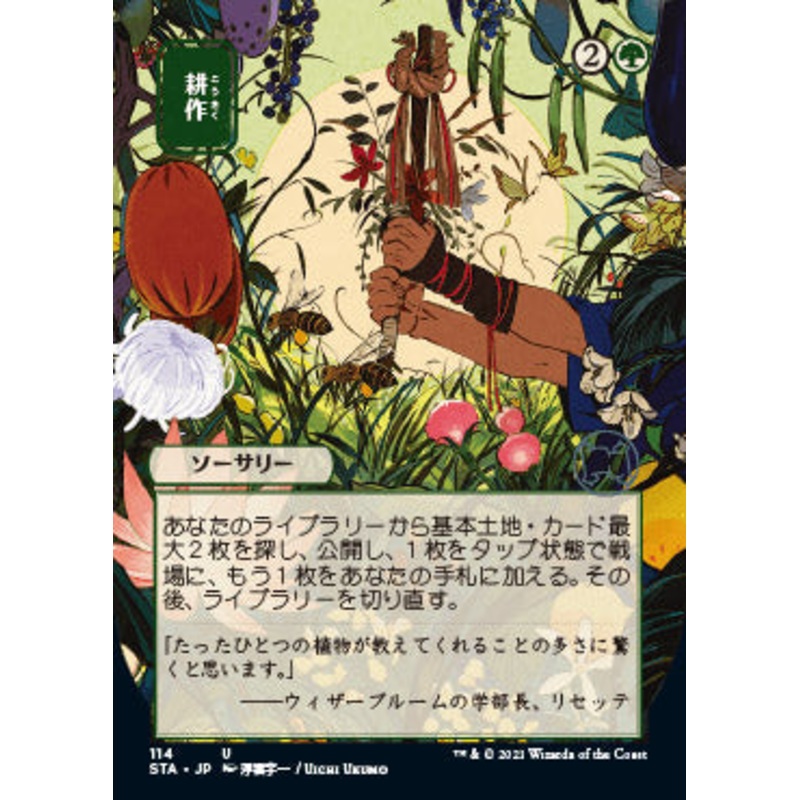 Cultivate (Japanese) [Strixhaven: School of Mages Mystical Archive]