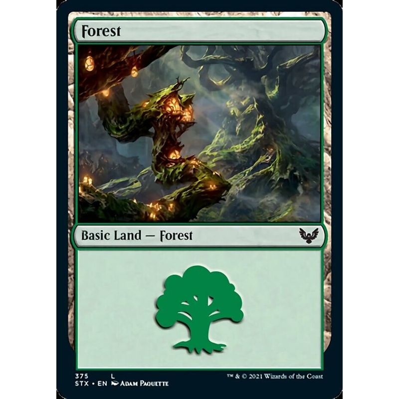 Forest (375) [Strixhaven: School of Mages]
