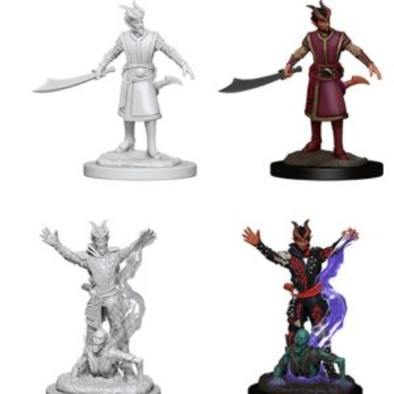 Nolzer's Marvolous Miniatures: Tiefling Warlock Male