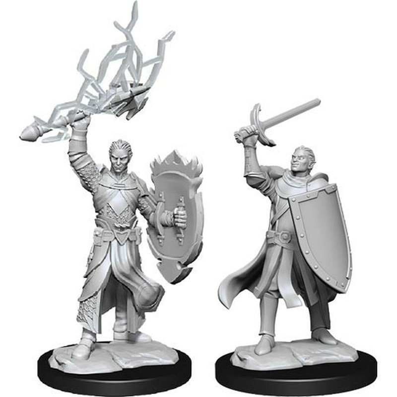 Nolzur's Marvelous Miniatures: Half-Elf Paladin