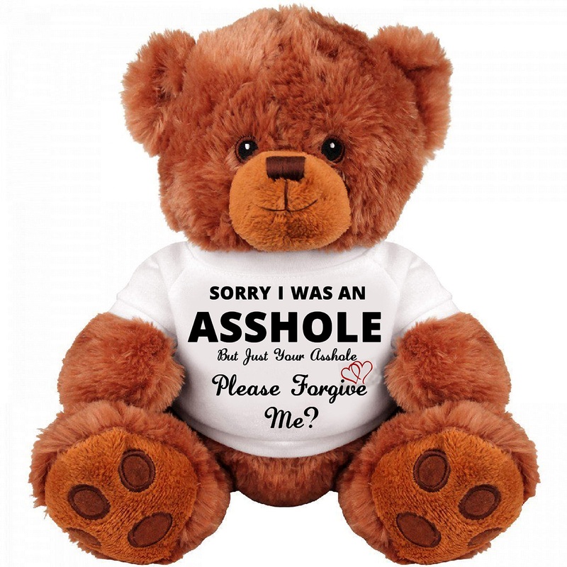 Sinman Sorry Forgive Me? : Apology Gift : Cute And Cuddly : Romantic Funny Teddy Bear Couple Gift : Medium Soft Teddy Bear Stuff