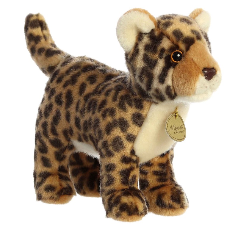 Aurora - Miyoni - 10' Jaguar