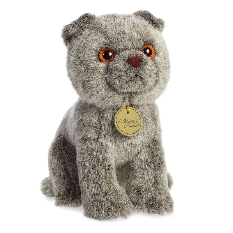 Aurora - Miyoni - 9' Scottish Fold