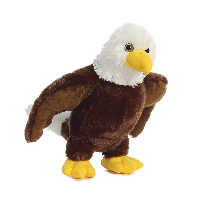 Aurora - Destination - 12' Eagle