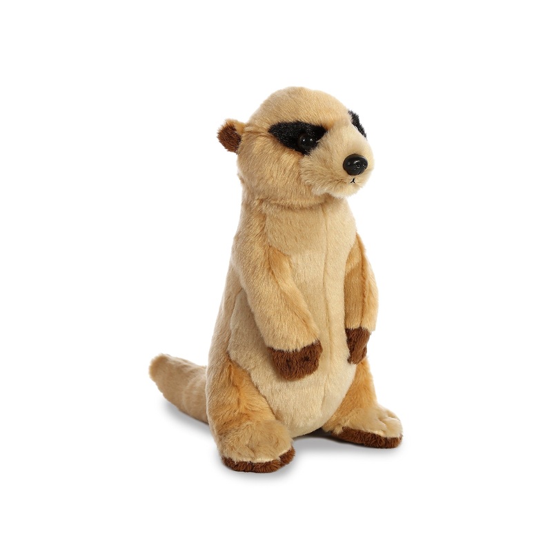 Aurora - Destination - 8' Meerkat