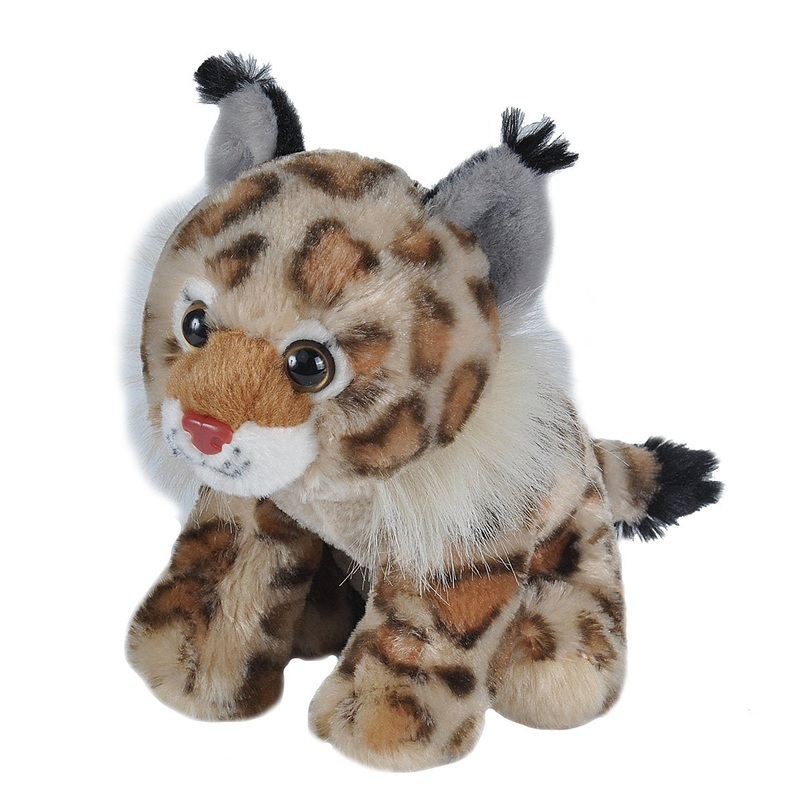 Wild Republic Bobcat Plush, Stuffed Animal, Plush Toy, Gifts For Kids, Cuddlekins, 8 Inches,Multi