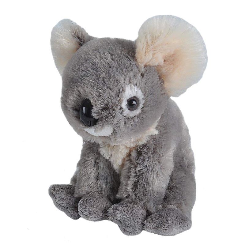 Wild Republic Koala Plush, Stuffed Animal, Plush Toy, Gifts For Kids, Cuddlekins 8 Inches (10986)