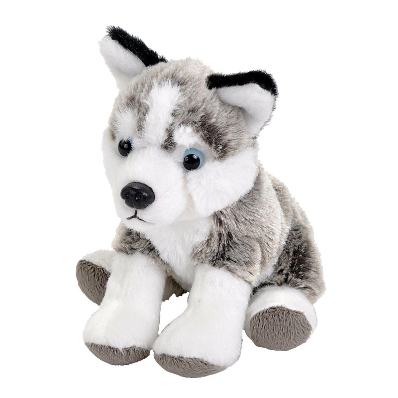 Wild Republic Pocketkins Eco Husky, Stuffed Animal, 5 Inches, Plush Toy, Made From Recycled Materials, Eco Friendly