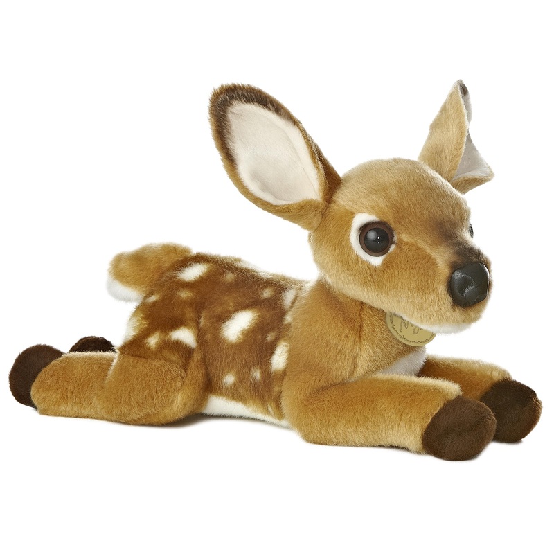 Aurora - Miyoni - 11' Fawn