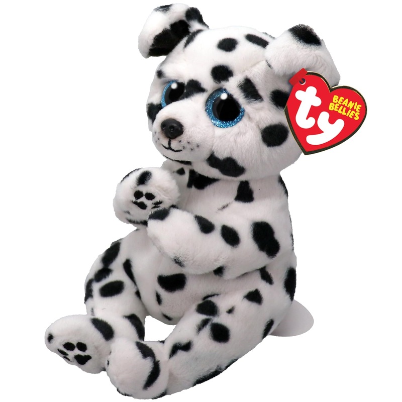Ty Beanie Bellie Rowdy - Dalmation Dog - 6'', White/Black