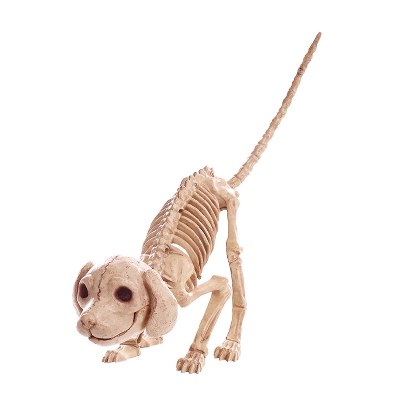 Crazy Bonez Pouncing Skeleton Puppy