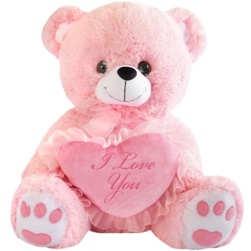 Teddy Bear With I Love You Heart (Pink, 10 Inches)