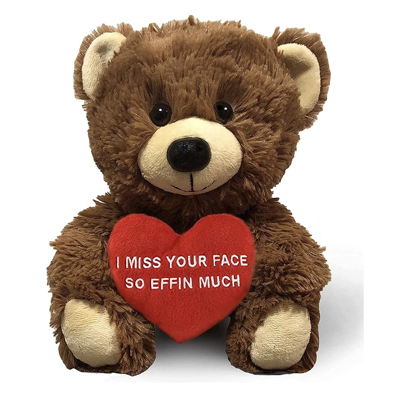 I Miss Your Face So Effin Much - 10'' Teddy Bear & Gift Bag - Funny Stuffed Animal Plush Gift For Girlfriend, Boyfriend, Best Fr