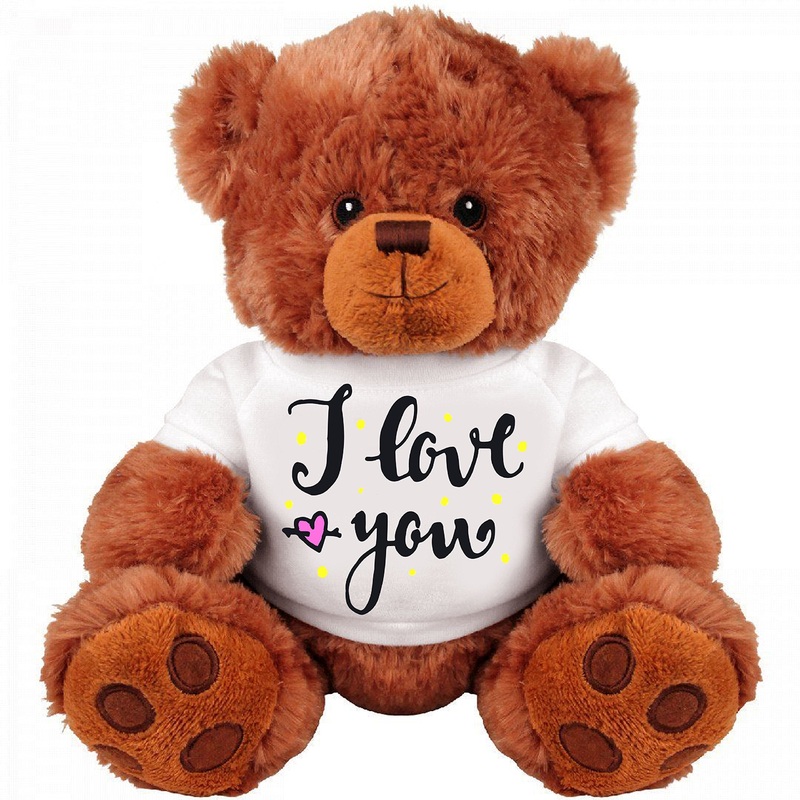Teddy Bear Couple Gift: Funny 13 Inch Teddy Bear Stuffed Animal : I Love You : Romantic Gift : Best Couple Gift