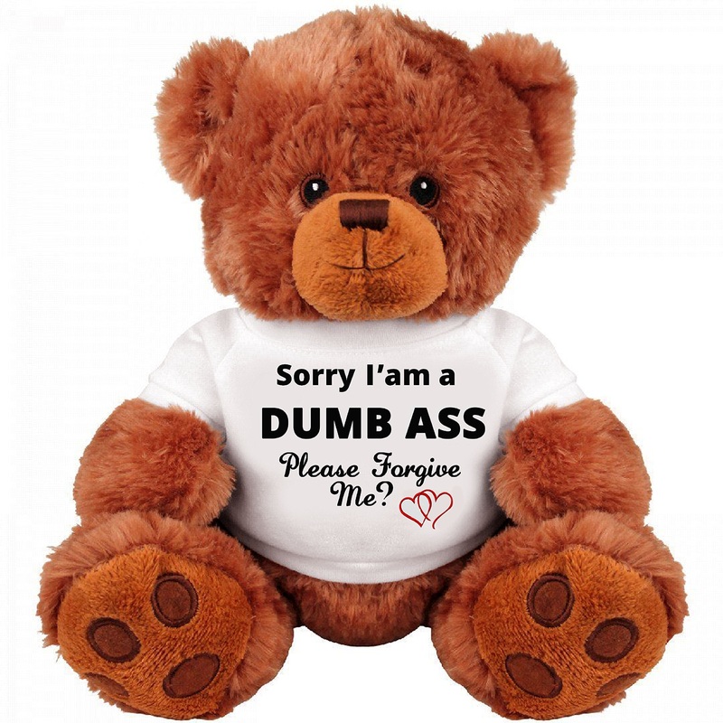 Sorry And Forgive Me Gift: Funny Teddy Bear Couple Gift: Medium Teddy Bear Stuffed Animal