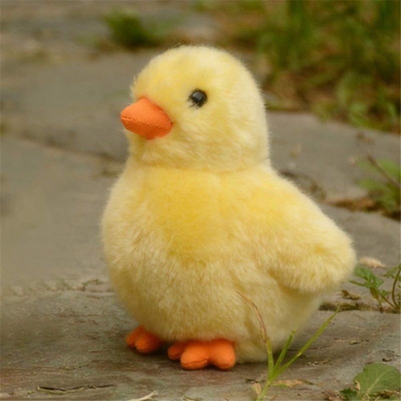 Tammyflyfly Yellow Chick Stuffed Animal Chicken White 5 Inches, 12Cm, Plush Toy, Duck Soft Toy (Yellow Chick)