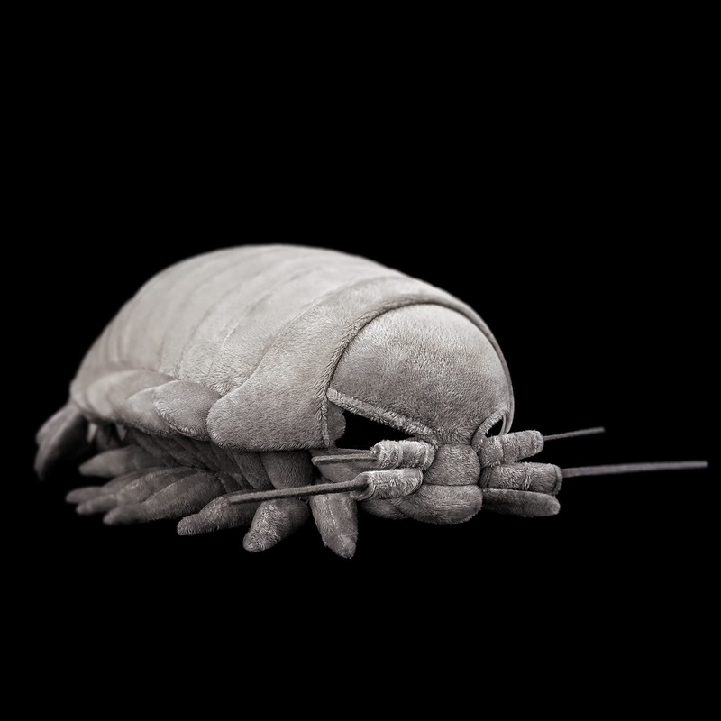Zhongxin Made Giant Isopod Plush - Lifelike 13Inch Isopod Stuffed Animal, Simulation Bathynomus Giganteus Arthropod Insect Plushie, Soft Crustaceans Animals Toys Model Dolls Gifts For Kids