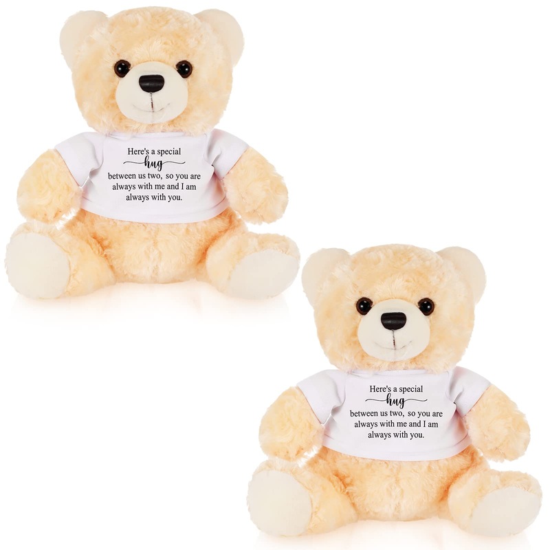 Deekin 2 Pcs Sympathy Gift Small Bear 9.8 Inch Plush Stuffed Animal With A Bear Hug Sign Condolences Memorial Loss Of Loved Ideal Gift For Funeral Birthday Baby Showe(Beige, White)