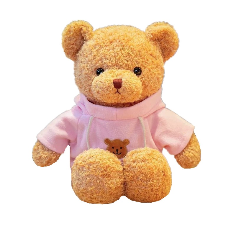 Bsvome 11.8 Inches Teddy Bear Stuffed Animals Soft Plush Cute Teddy Bear With Hoodie Doll For Boys Girls (Pink)