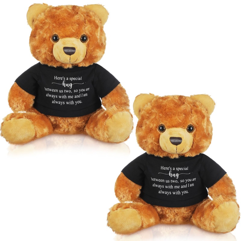 Deekin 2 Pcs Sympathy Gift Small Bear 9.8 Inch Plush Stuffed Animal With A Bear Hug Sign Condolences Memorial Loss Of Loved Idea