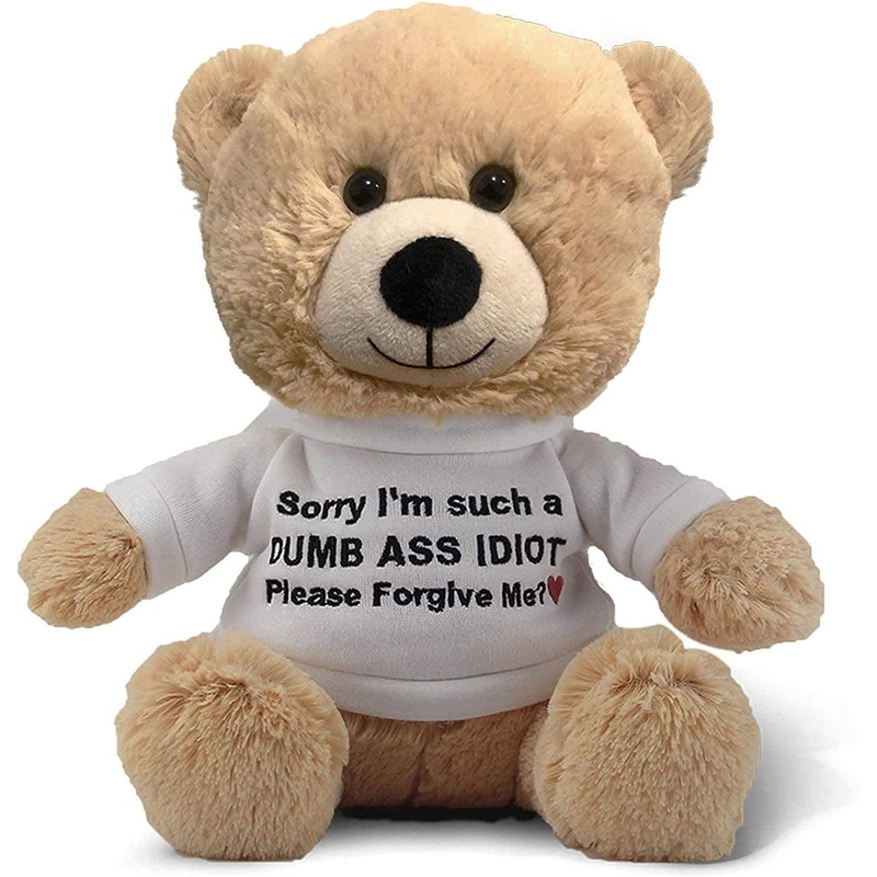 Sorry I'M An Idiot' 10' Teddy Bear With Gift Bag - Cute Funny Apology Plush For Girlfriend, Boyfriend, Best Friend