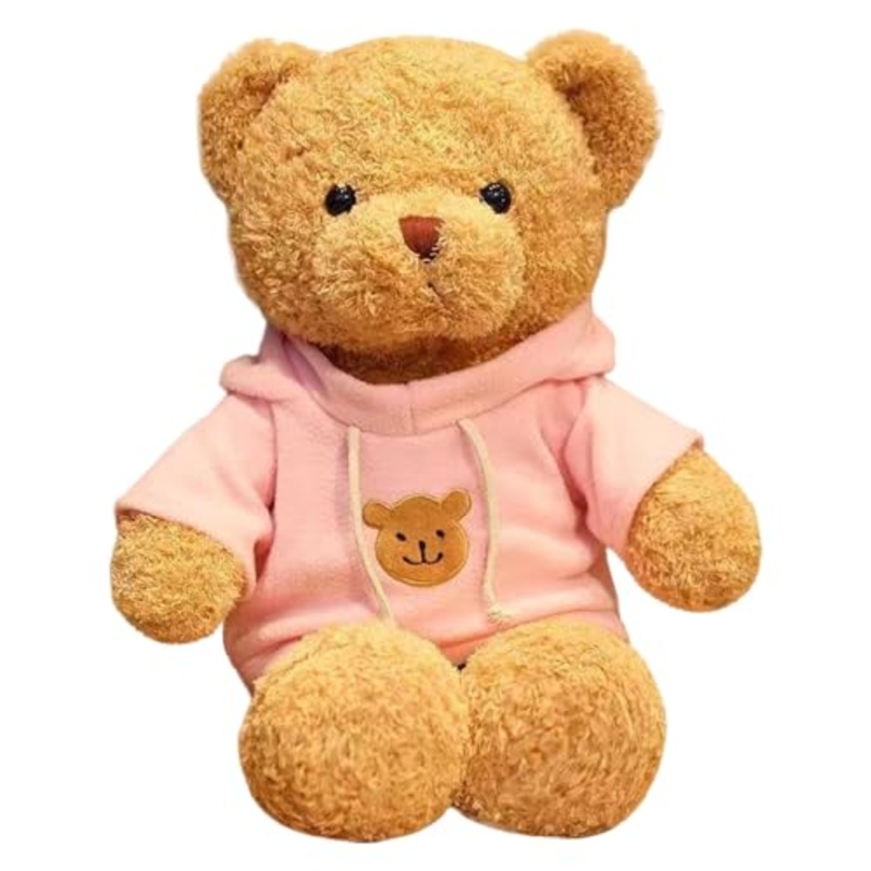 Galatee Cute Teddy Bear Plush Stuffed Animal, Teddy Bear With Coffee Hoodie, Gifts For Children(19.6' Pink)