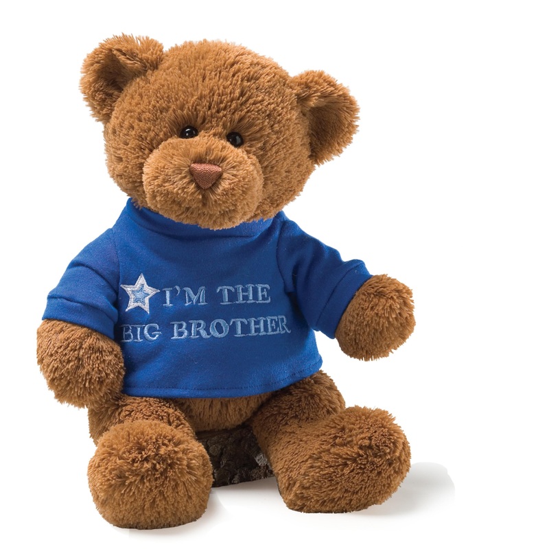Gund Im The Big Brother Message Bear With Blue T-Shirt, Teddy Bear Stuffed Animal For Ages 1 And Up, Brown, 12