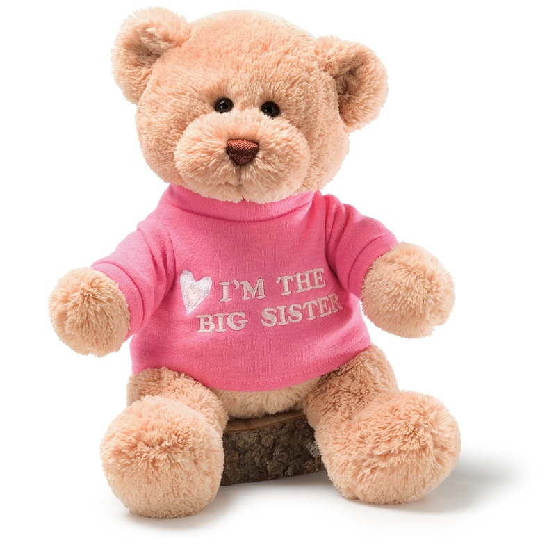 Gund Im The Big Sister    Message Bear With Pink T-Shirt, Teddy Bear Stuffed Animal For Ages 1 And Up, Brown, 12