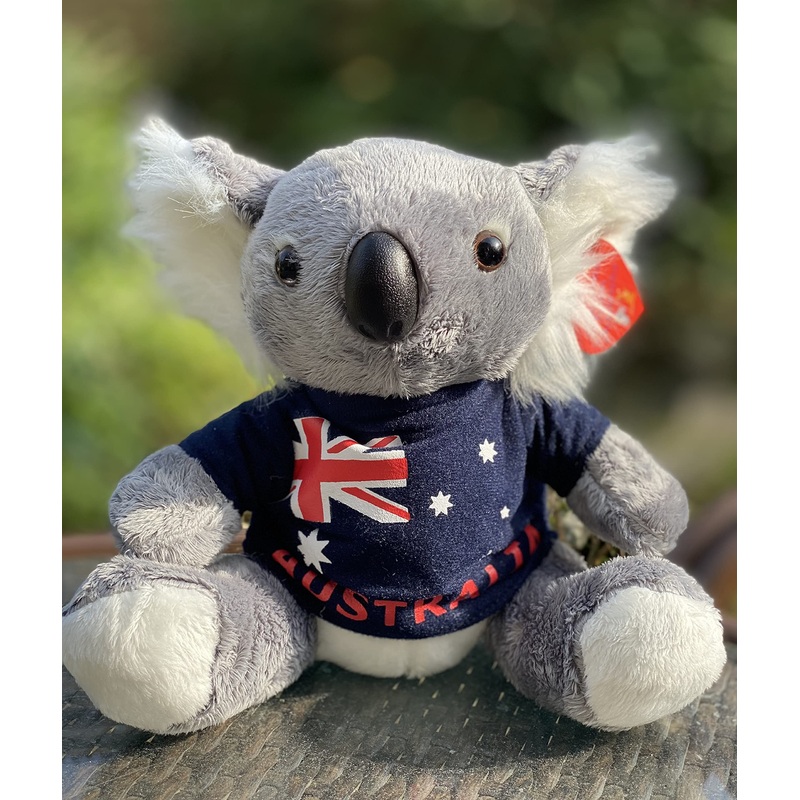 Aeisage Koala Stuffed Animal - 8 Inch Plush Koala Bear With T-Shirt, Super Soft Australian Souvenir Gift