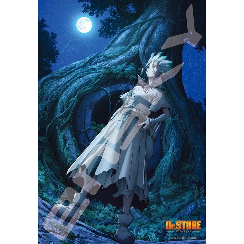 Dr. Stone Ensky Jigsaw Puzzle 500 Piece 500-546 New World