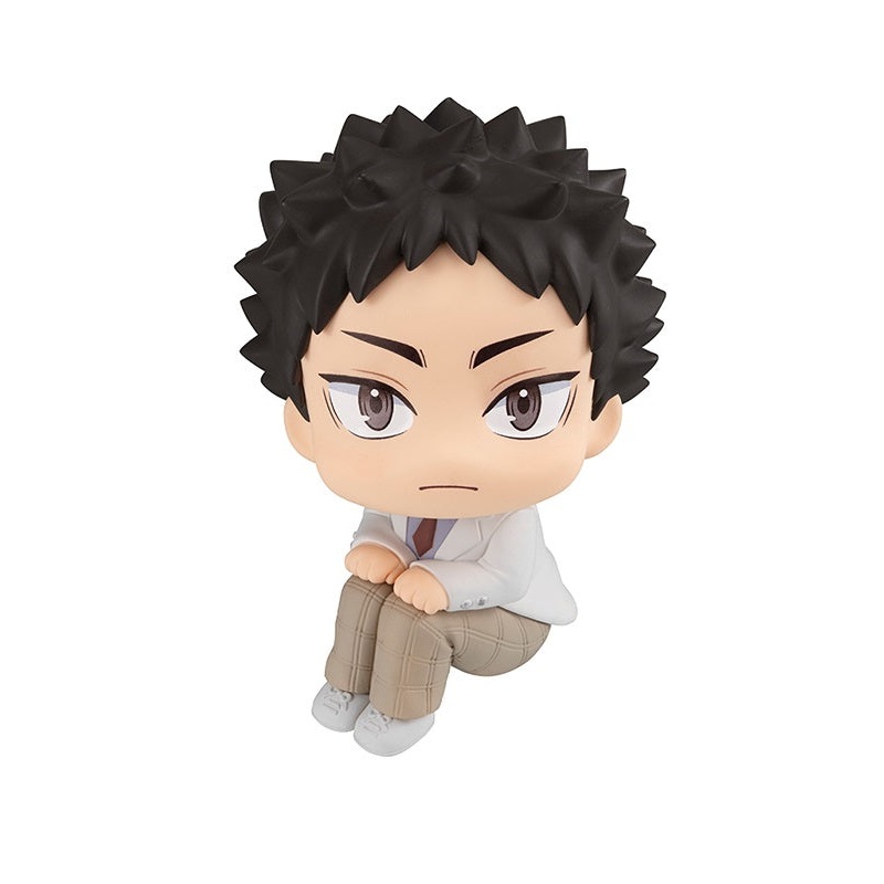 Haikyu!! MEGAHOUSE Look up Hajime Iwaizumi
