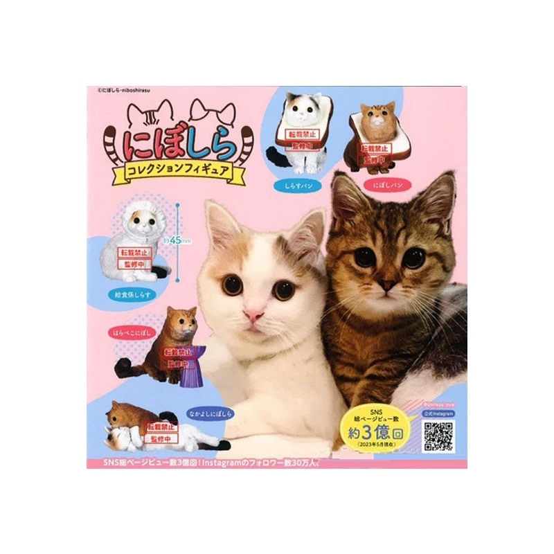 Niboshira Bushiroad Creative Cat Collection Figure(1 Random)