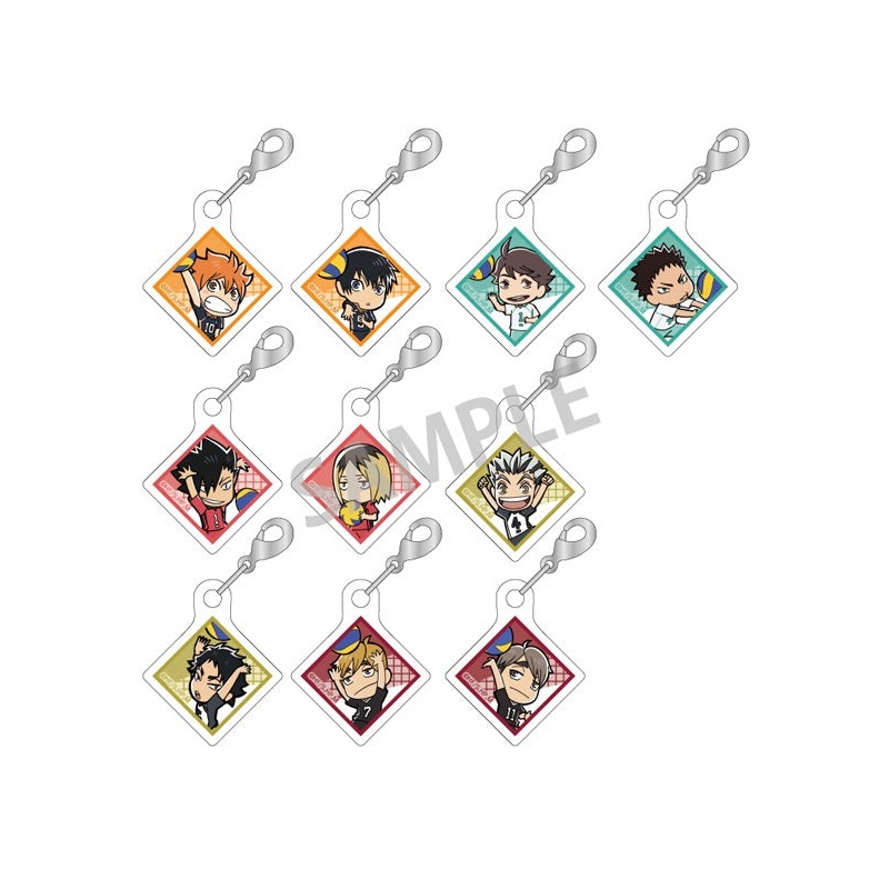 Haikyu!! KAMIO JAPAN Trading Joint Acrylic Parts(1 Random)